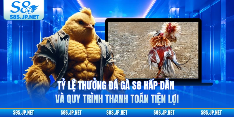 Tỷ lệ thưởng đá gà S8 hấp dẫn và quy trình thanh toán tiện lợi